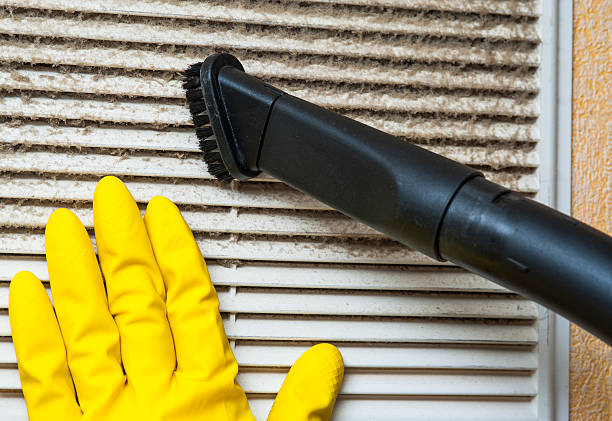Best Air Duct Mold Removal  in Hagerstown, IN