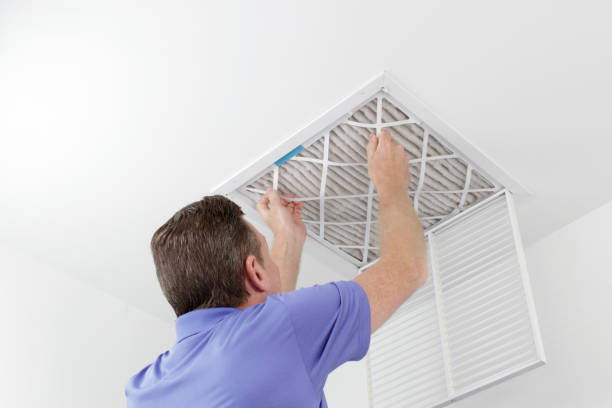 Best Air Duct Sanitizing Services  in Hagerstown, IN